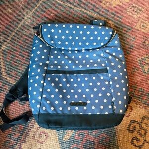 Danny Lee insulated cooler backpack